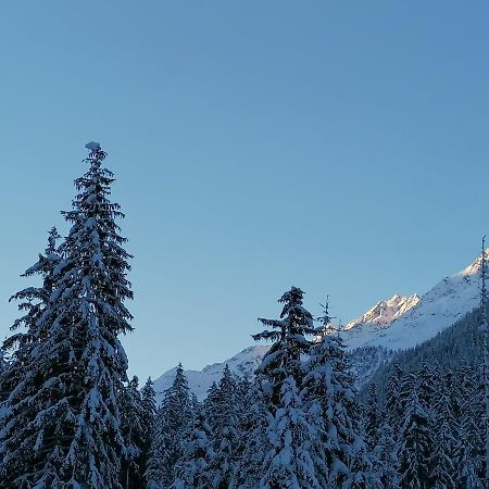 Appartement Mooshof à Kaunertal Extérieur photo